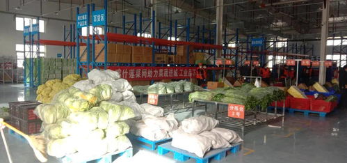 社群团购赋能工业品下乡 物美价廉产品与家政服务的乡村新机遇